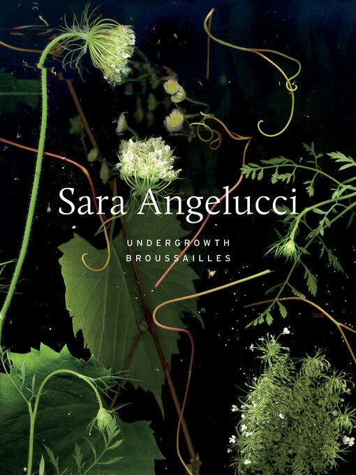 Title details for Sara Angelucci by Sara Angelucci - Available